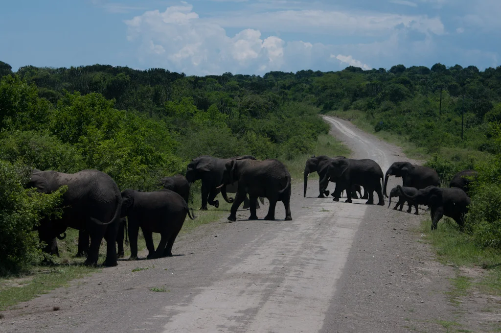 uganda blog gallery-34.jpg