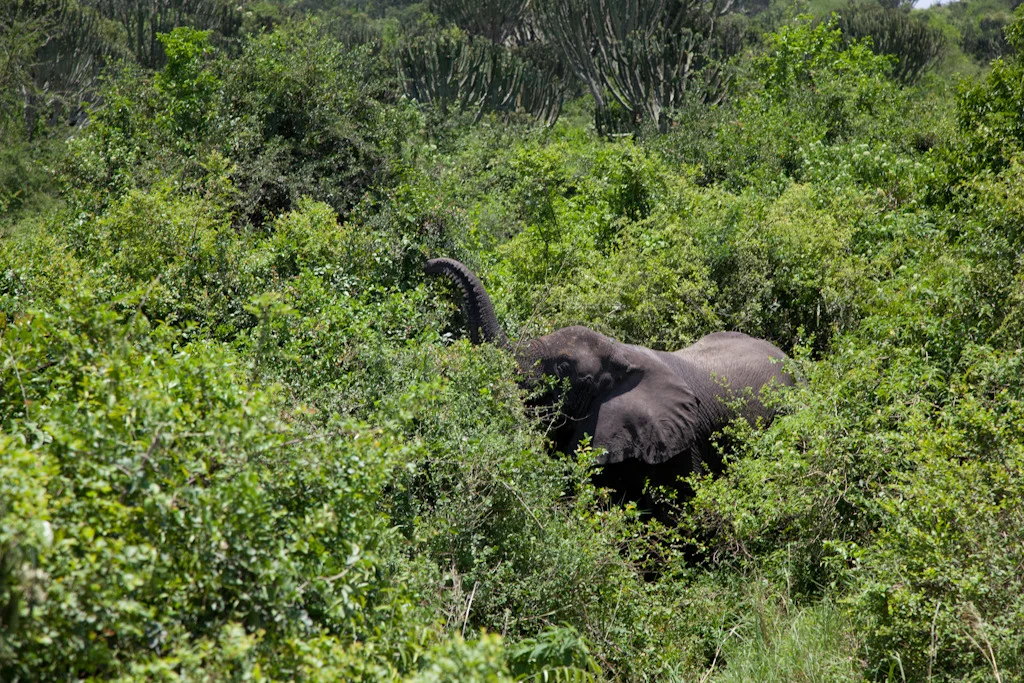 uganda blog gallery-51.jpg