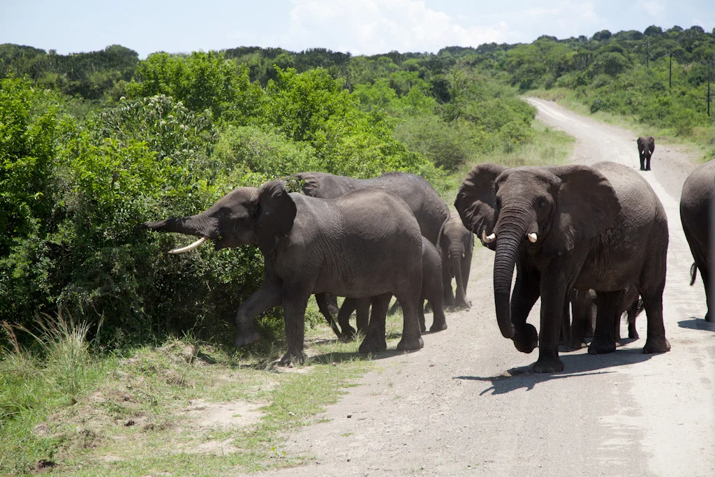uganda blog gallery-49.jpg