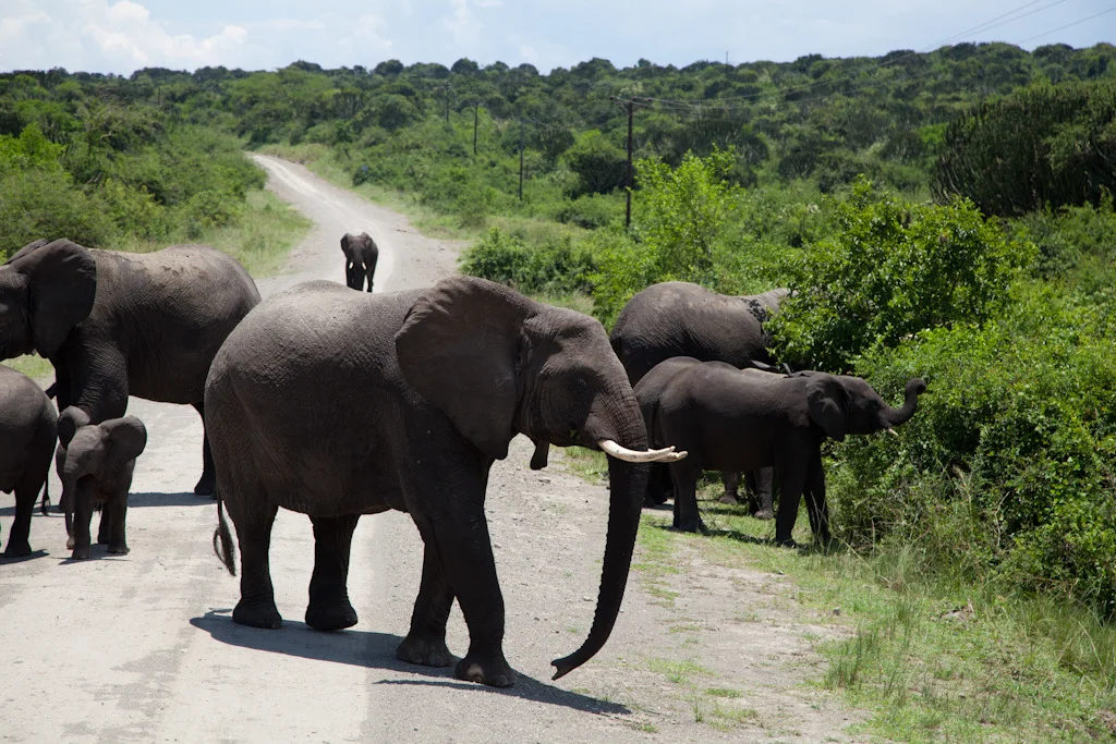 uganda blog gallery-50.jpg