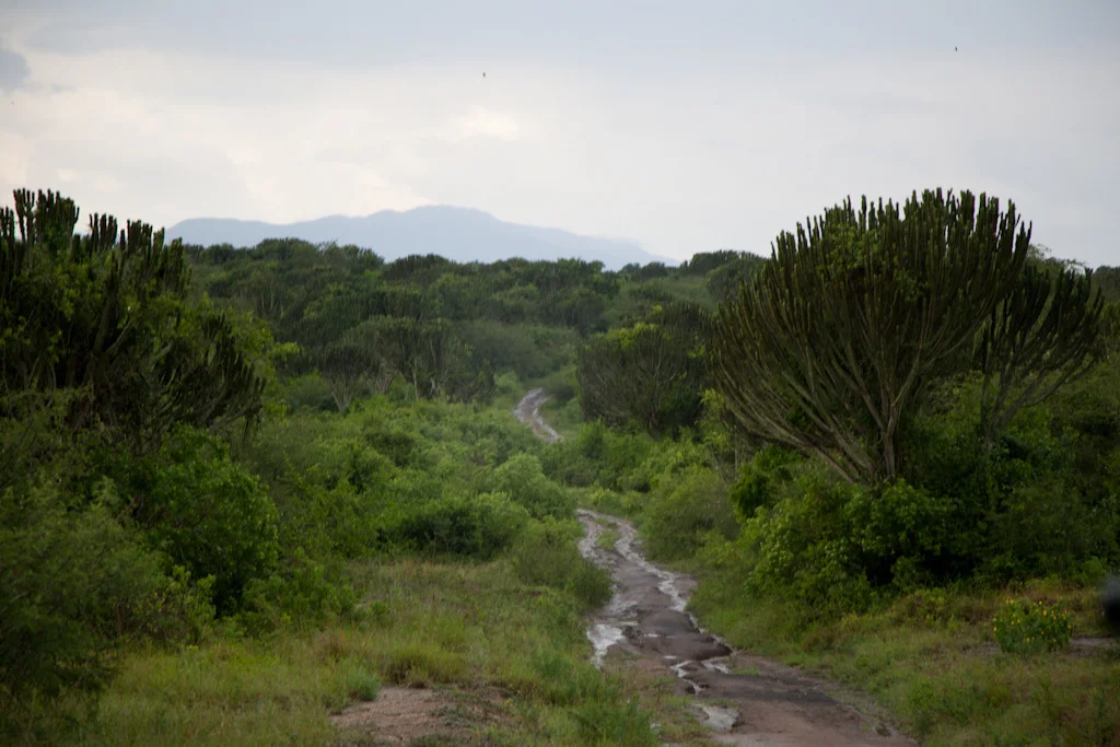 uganda blog gallery-55.jpg