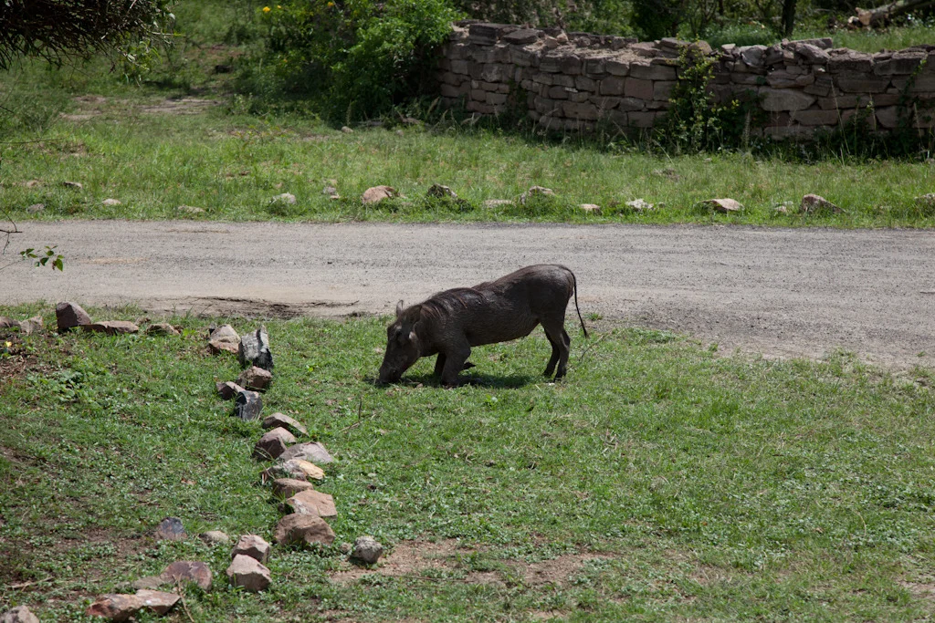 uganda blog gallery-53.jpg