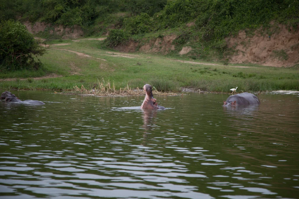 uganda blog gallery-58.jpg