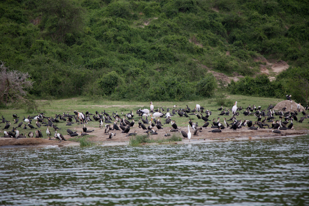 uganda blog gallery-59.jpg