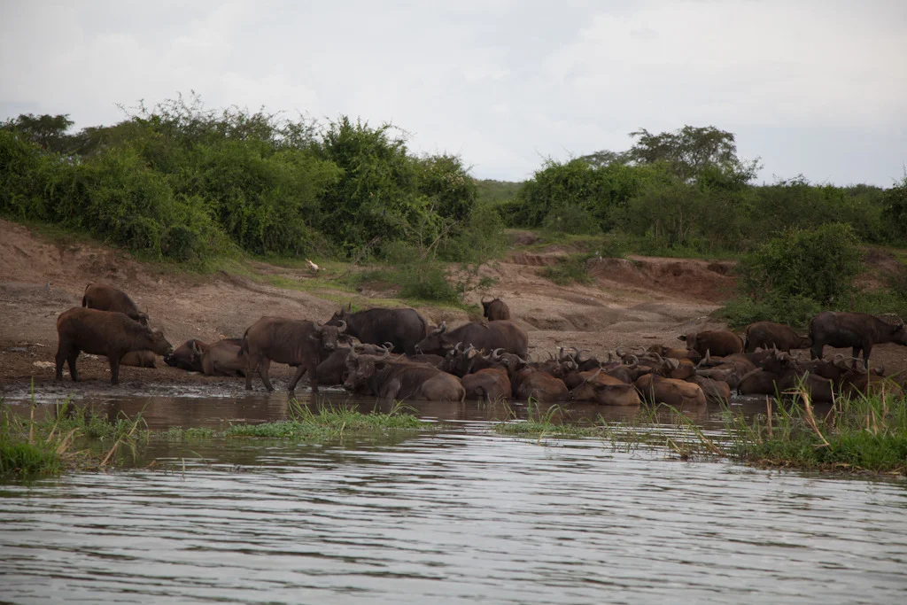 uganda blog gallery-57.jpg