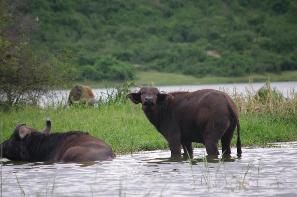 uganda blog gallery-40.jpg