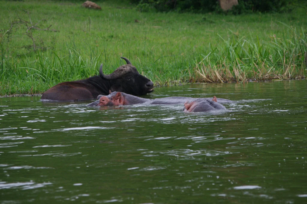 uganda blog gallery-41.jpg