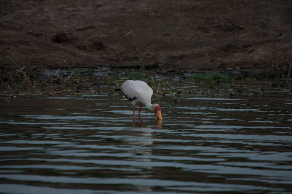 uganda blog gallery-38.jpg
