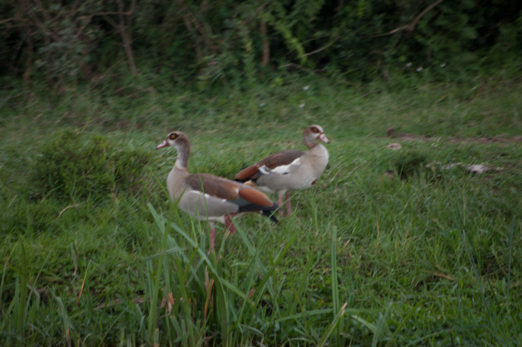 uganda blog gallery-39.jpg