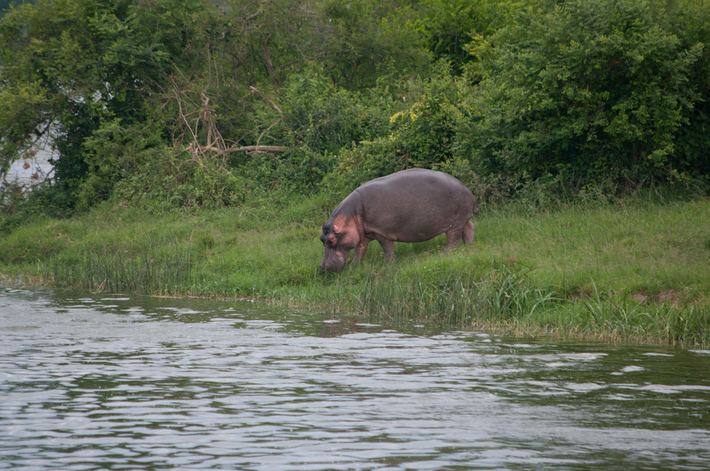 uganda blog gallery-44.jpg