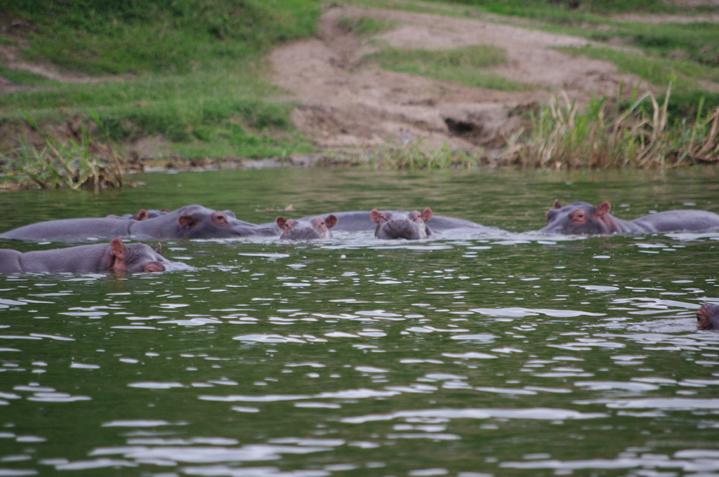 uganda blog gallery-43.jpg
