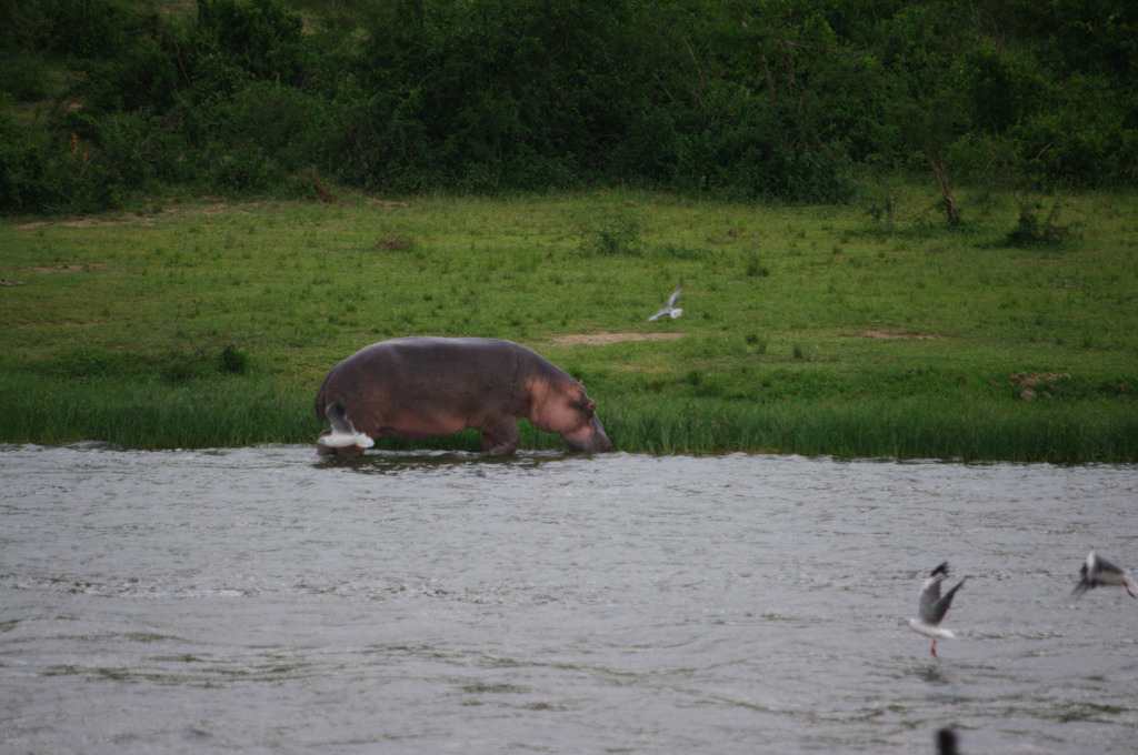 uganda blog gallery-46.jpg