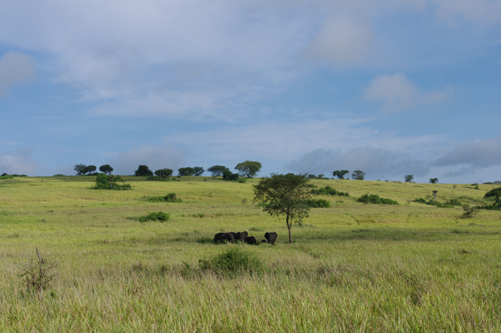 uganda blog gallery-74.jpg