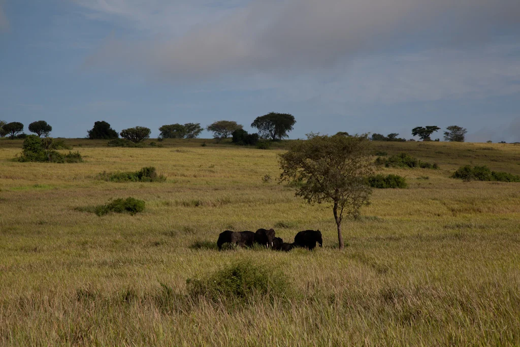 uganda blog gallery-79.jpg
