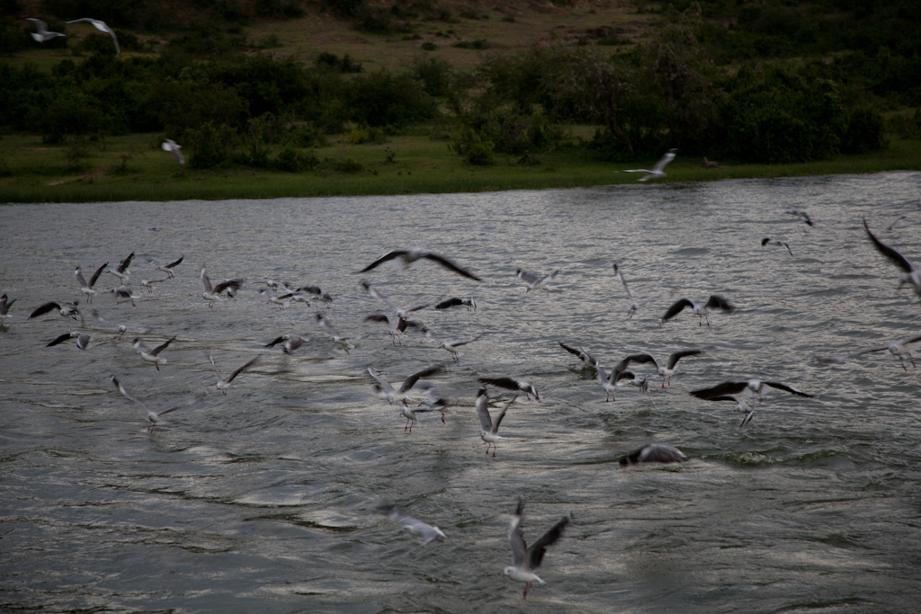 uganda blog gallery-64.jpg