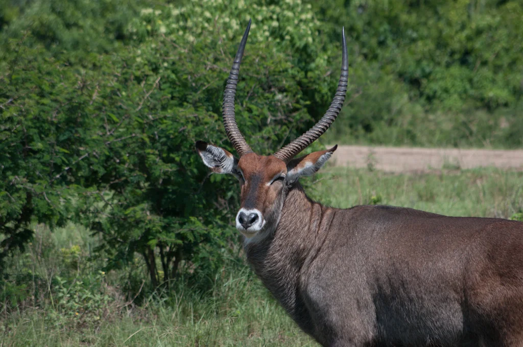 uganda blog gallery-37.jpg