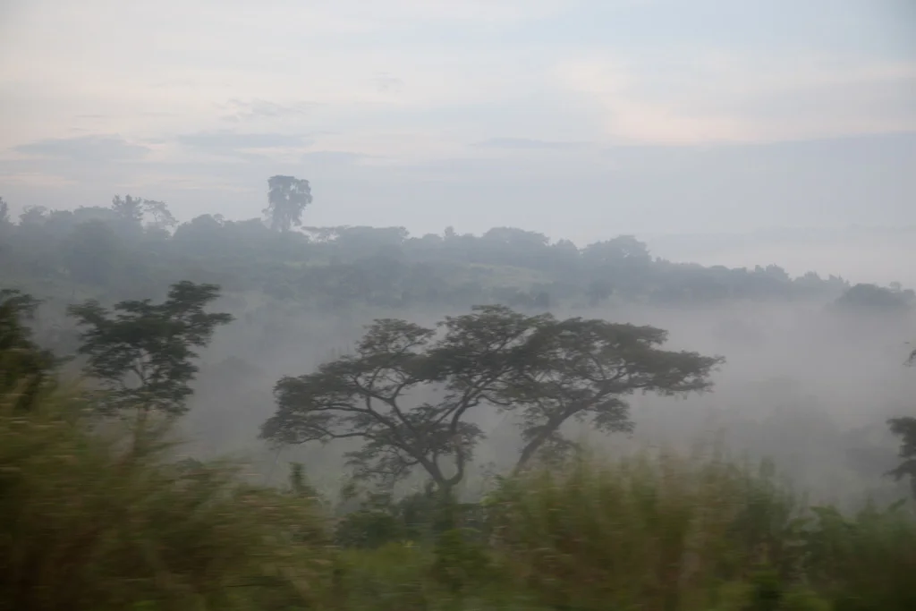 uganda blog gallery-5.jpg