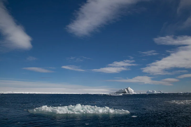 antarticablogone62.jpg