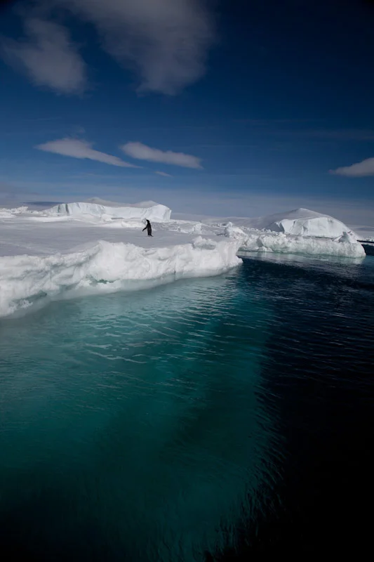 antarticablogone67.jpg