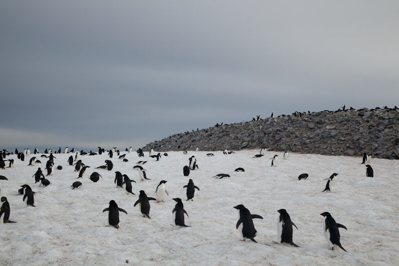 antarticablogone96.jpg