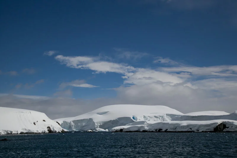 antarticablogone114.jpg