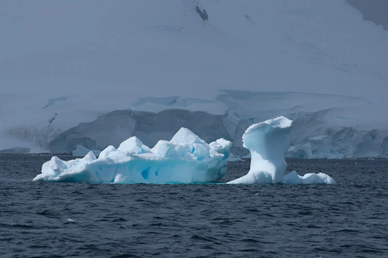 antarticablogone115.jpg