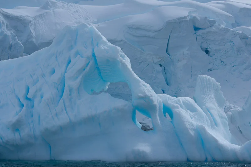 antarticablogone110.jpg