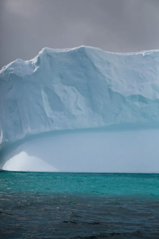 antarticablogone112.jpg