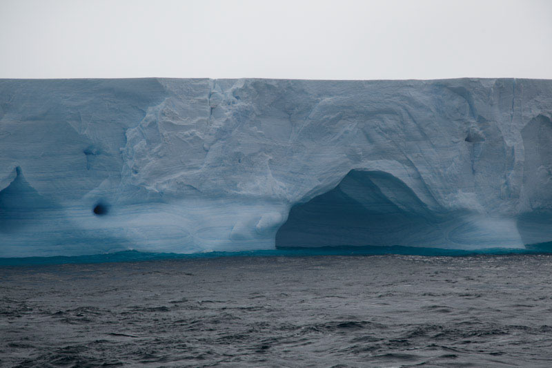 antarticablogone31.jpg