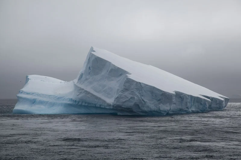 antarticablogone33.jpg