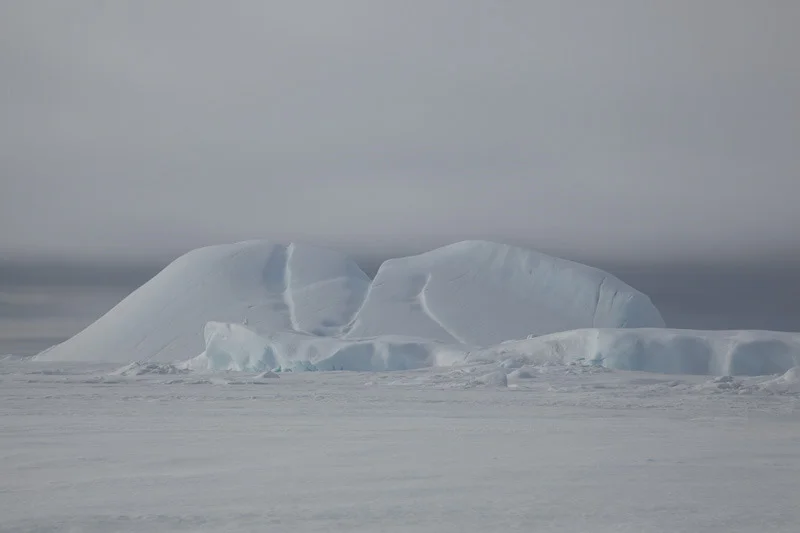 antarticablogone53.jpg