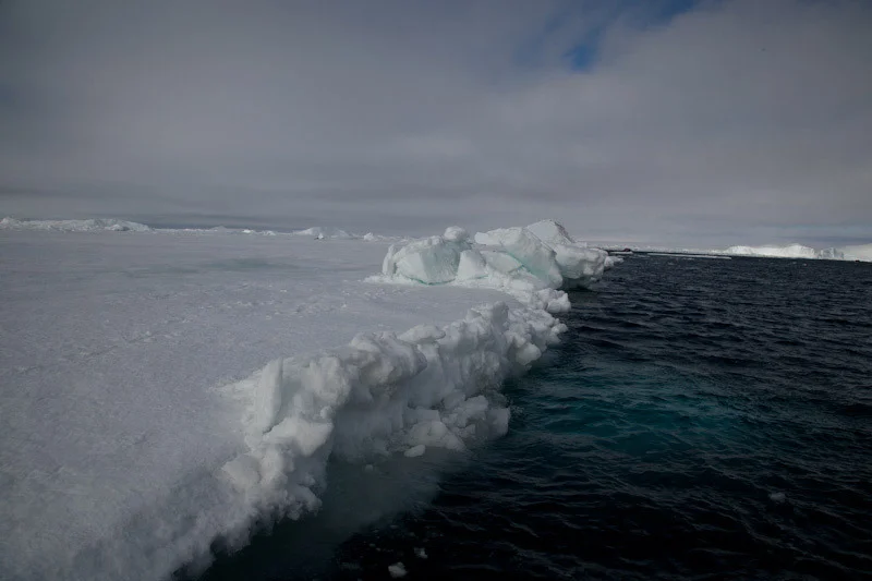 antarticablogone55.jpg