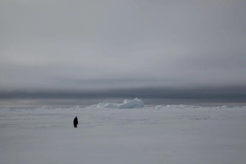 antarticablogone58.jpg