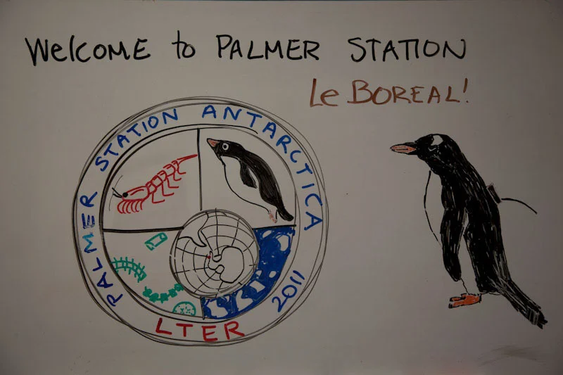 antarticablogone116.jpg