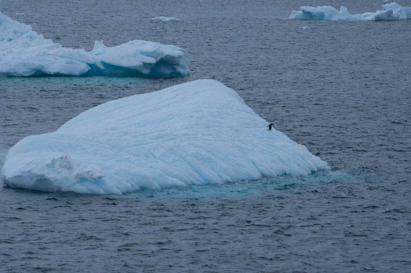 antarticablogone156.jpg
