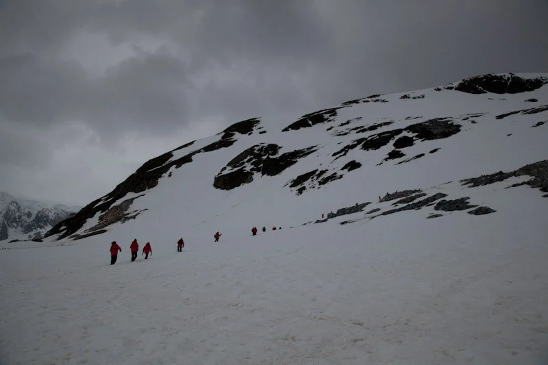 antarticablogone160.jpg