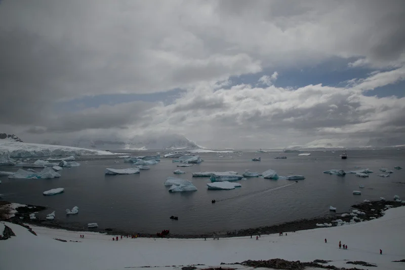 antarticablogone161.jpg