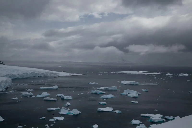 antarticablogone176.jpg