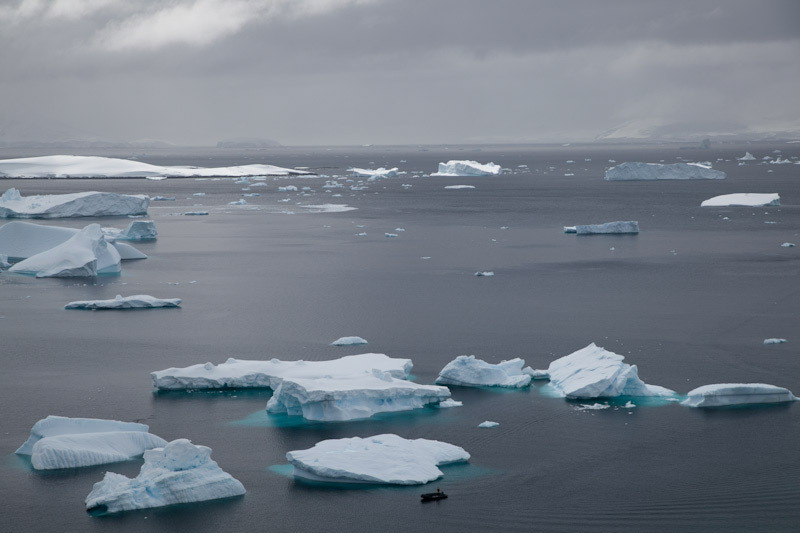 antarticablogone177.jpg