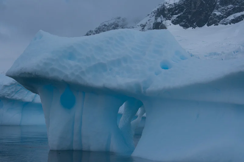 antarticablogone169.jpg