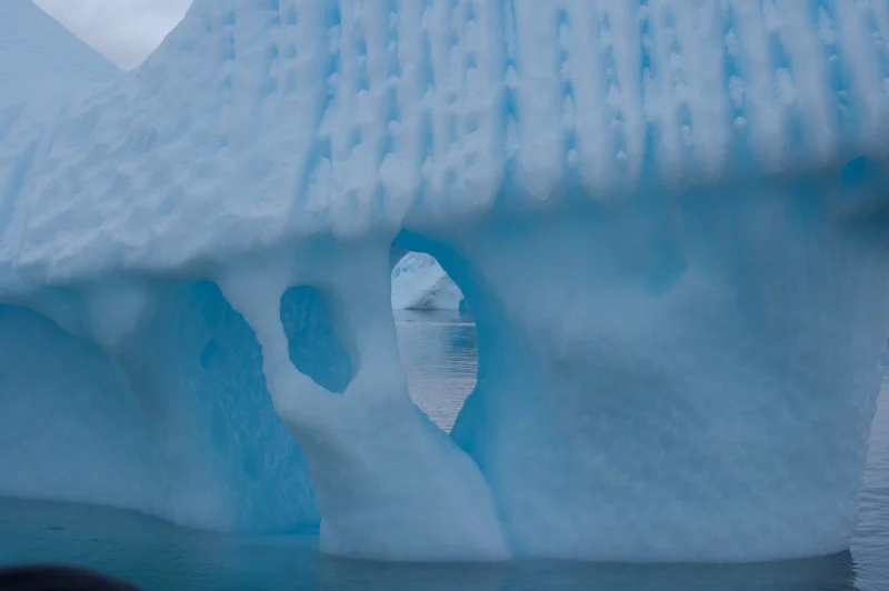 antarticablogone170.jpg