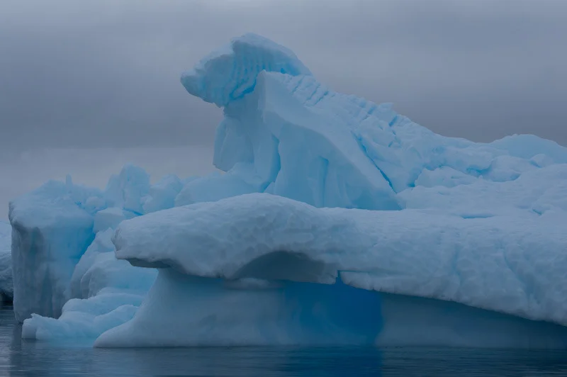 antarticablogone172.jpg