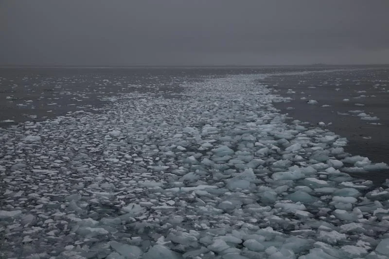 antarticablogone188.jpg