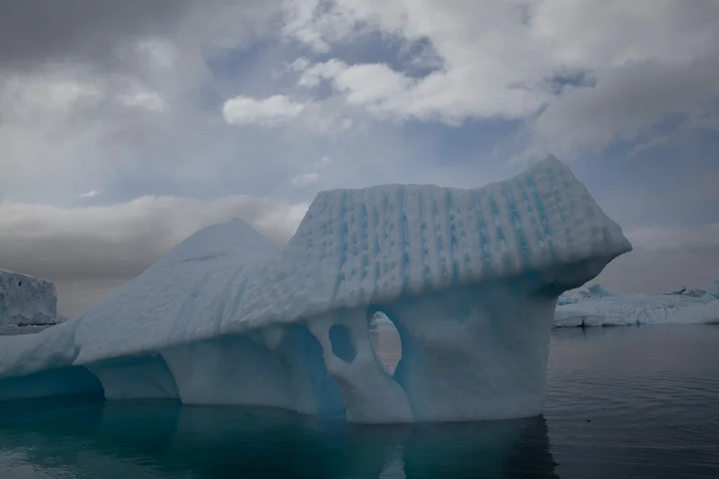 antarticablogone179.jpg