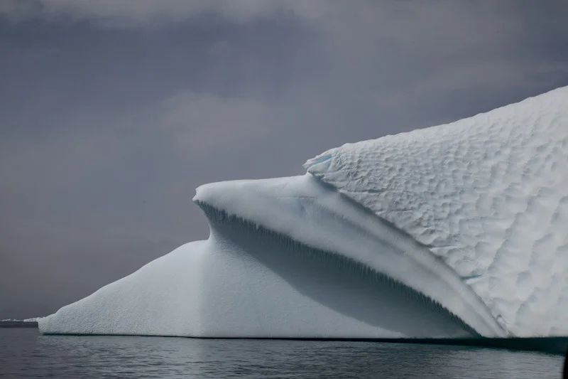antarticablogone181.jpg
