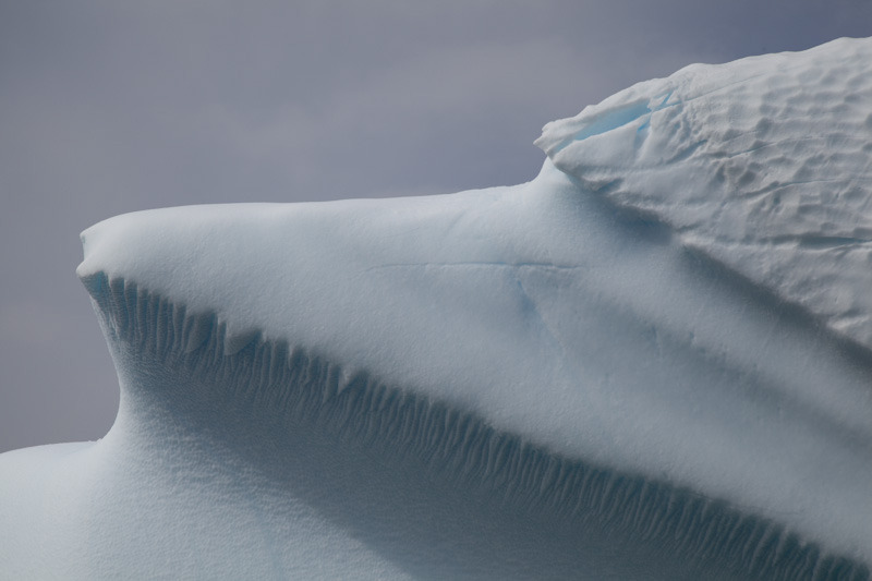 antarticablogone182.jpg
