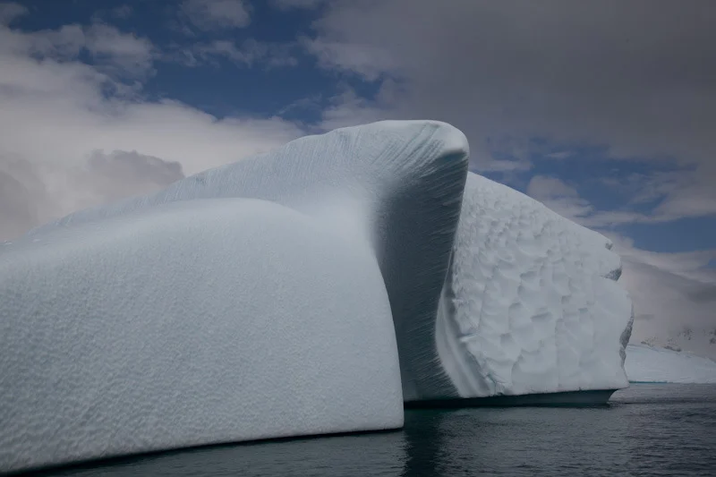 antarticablogone183.jpg