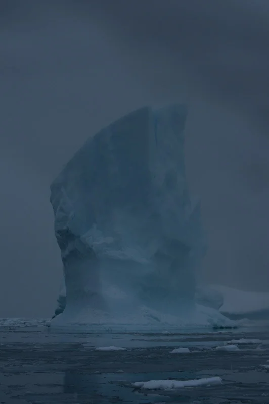 antarticablogone206.jpg