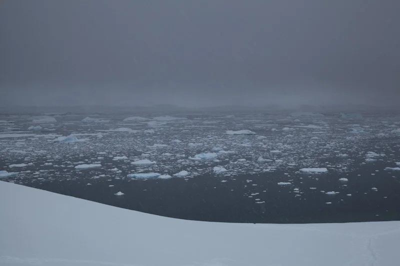antarticablogone208.jpg