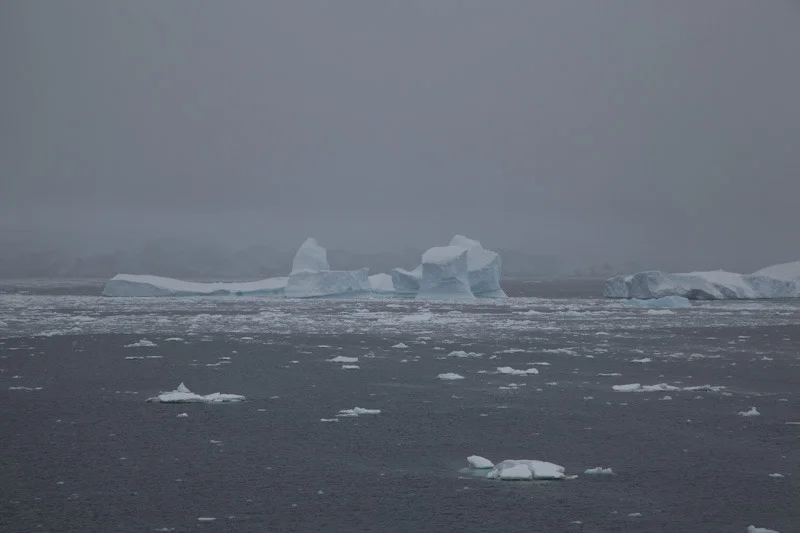 antarticablogone216.jpg